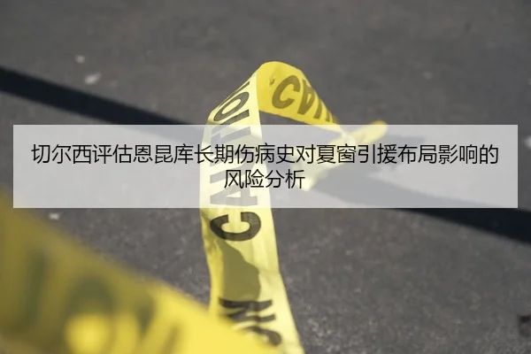 切尔西评估恩昆库长期伤病史对夏窗引援布局影响的风险分析